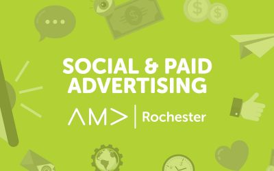 Search or Display: Is It an Either/Or Question?