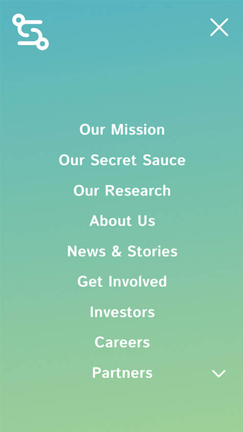 Sidekick Mobile Website Design